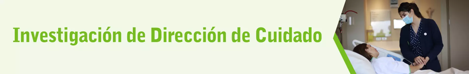 investigacion direccion de cuidado